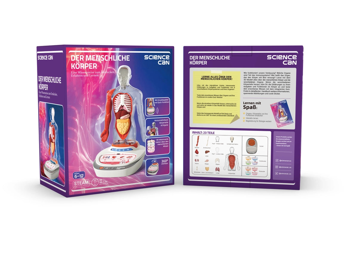 Der menschliche Körper - STEM-Spielzeug