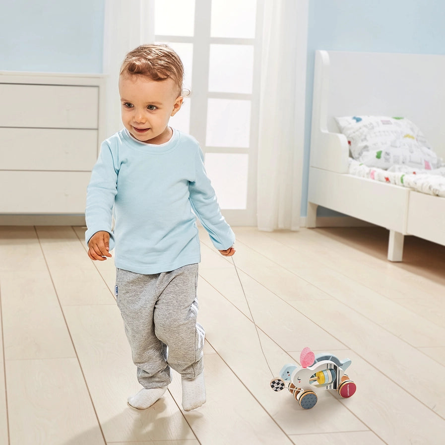 Der Hase und die Schildkröte - Montessori