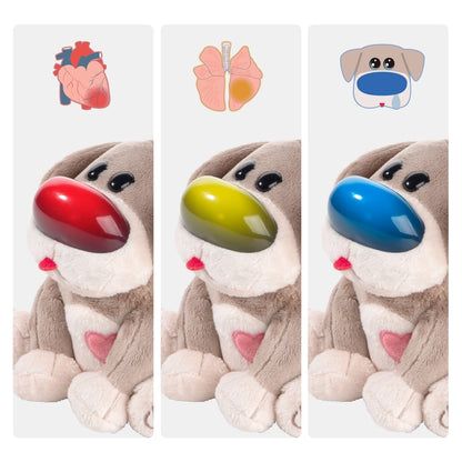 Pflegehaustiere - Dr. Hund