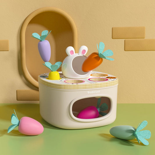 Karotten zuordnen & sortieren - Montessori