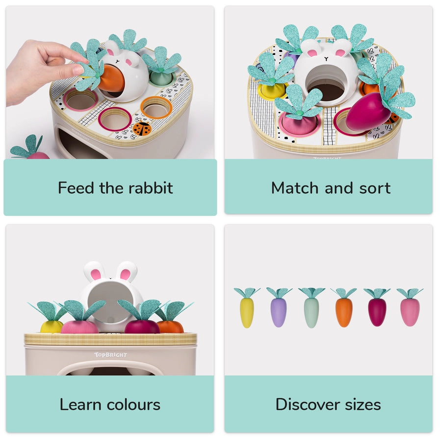 Karotten zuordnen & sortieren - Montessori