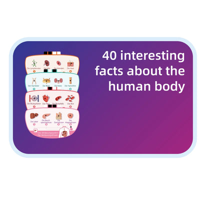 Der menschliche Körper - STEM-Spielzeug