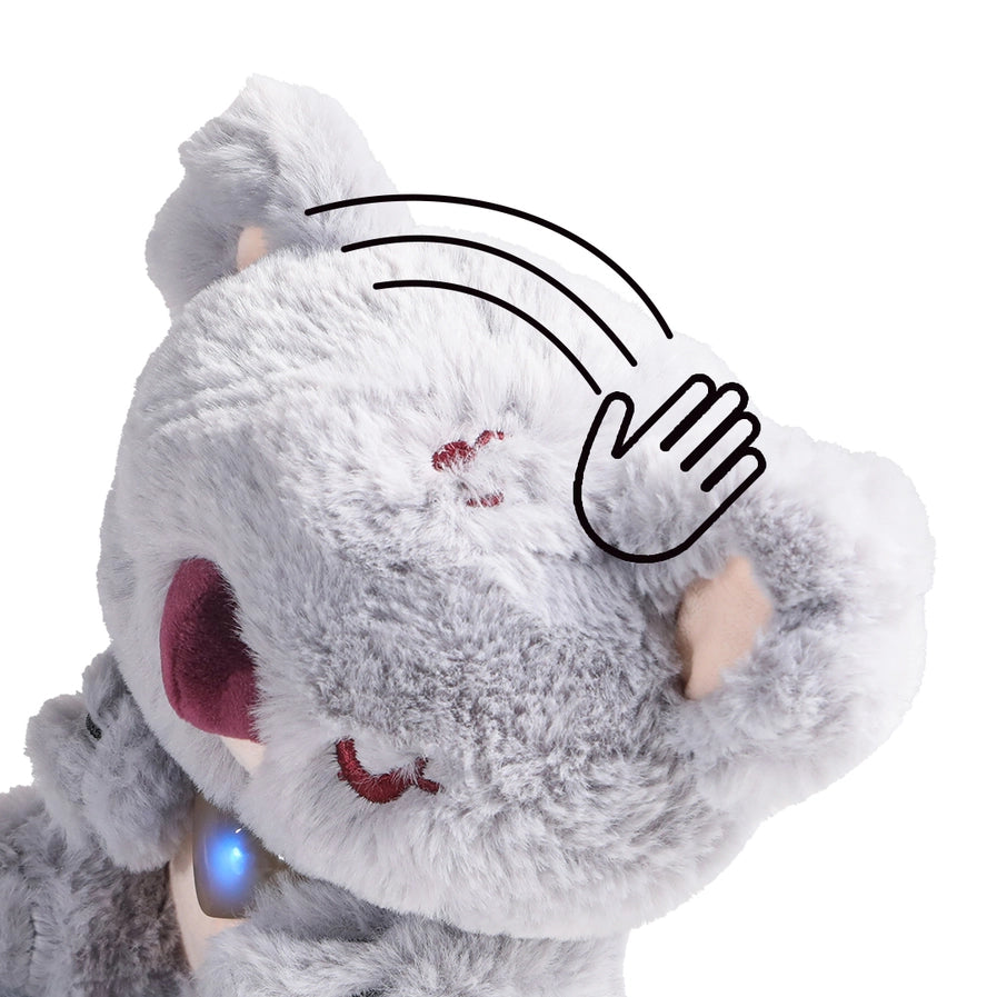 Pflegehaustiere - Baby-Koala